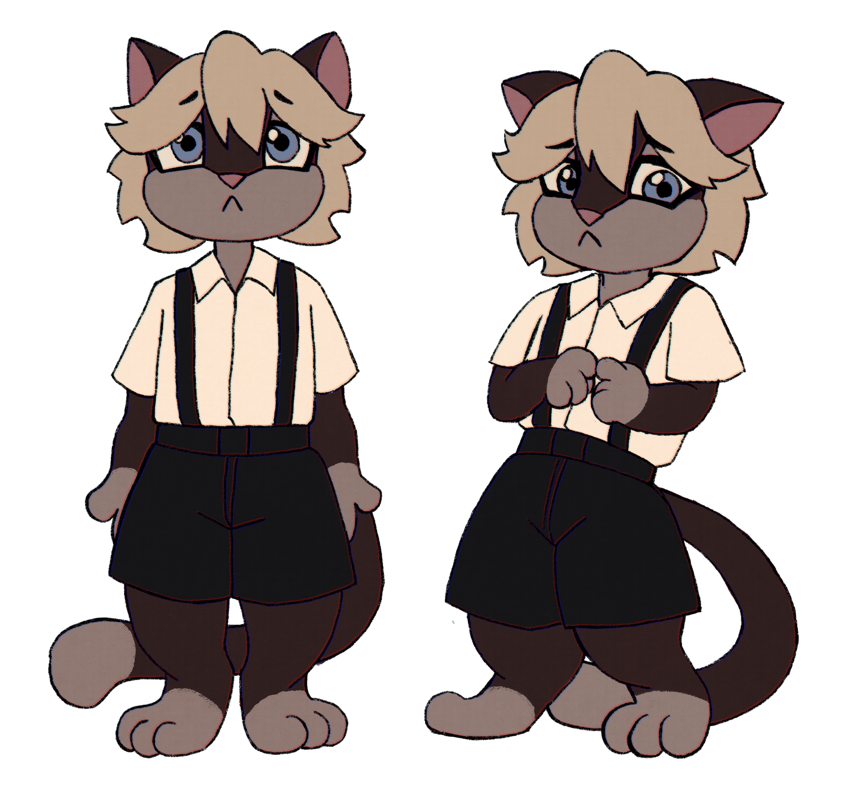 Cat design