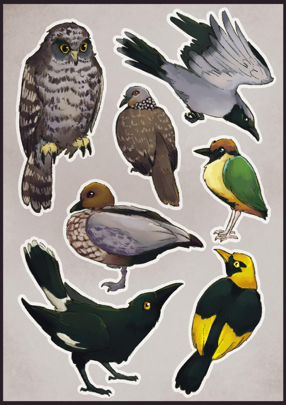 various Australian birds