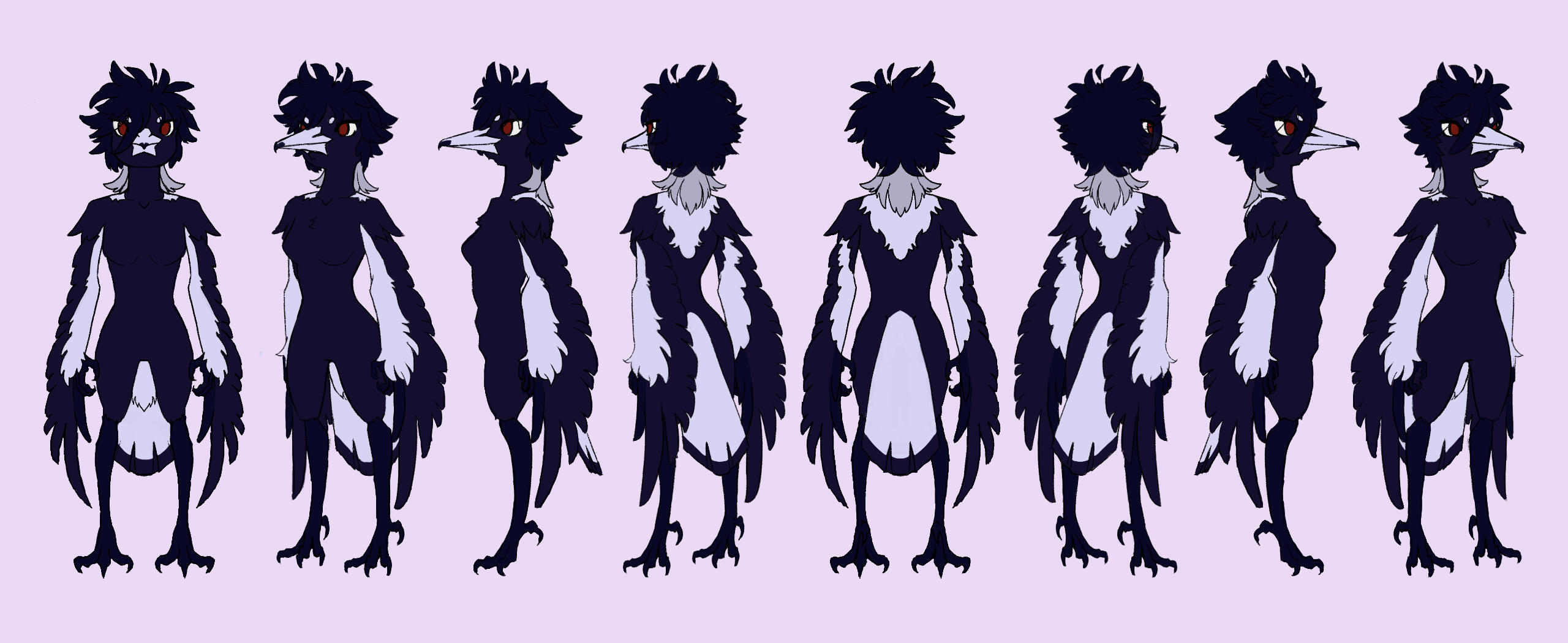 magpie character full turnaround
