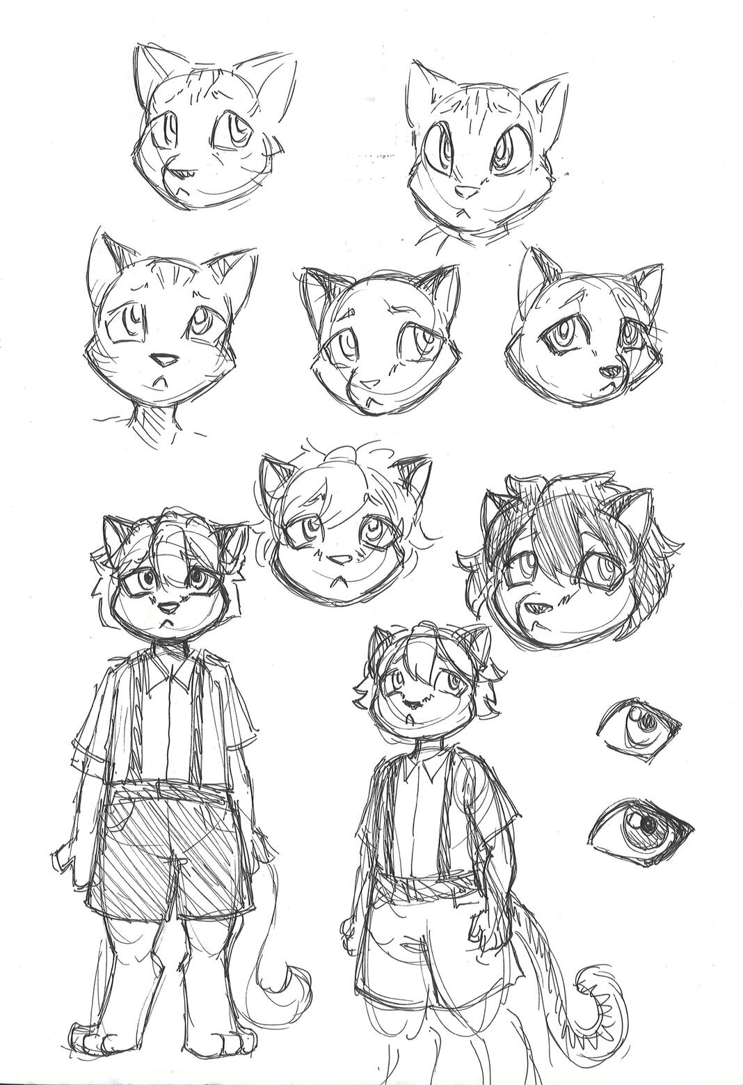 Cat iteration