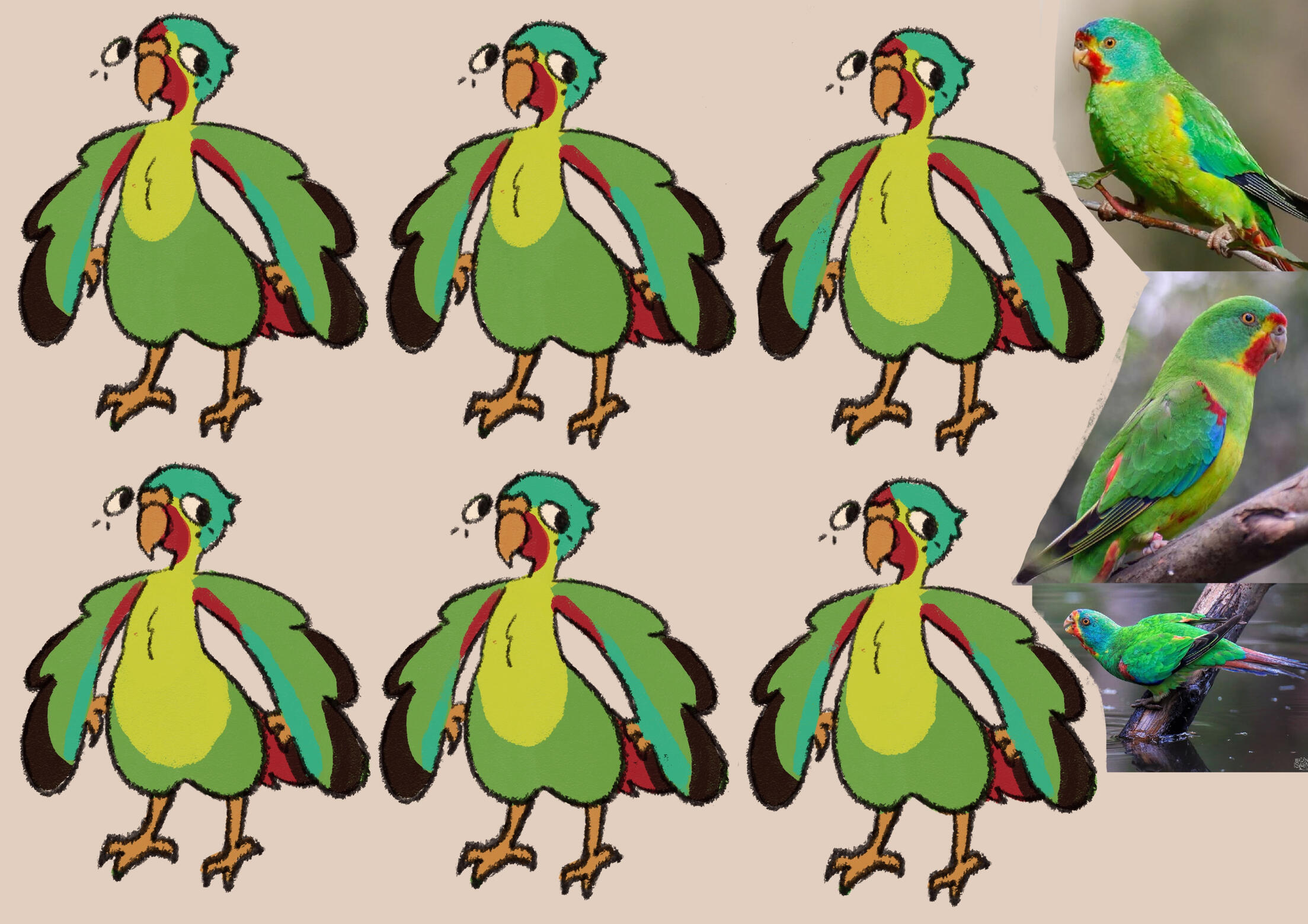Polly colour development