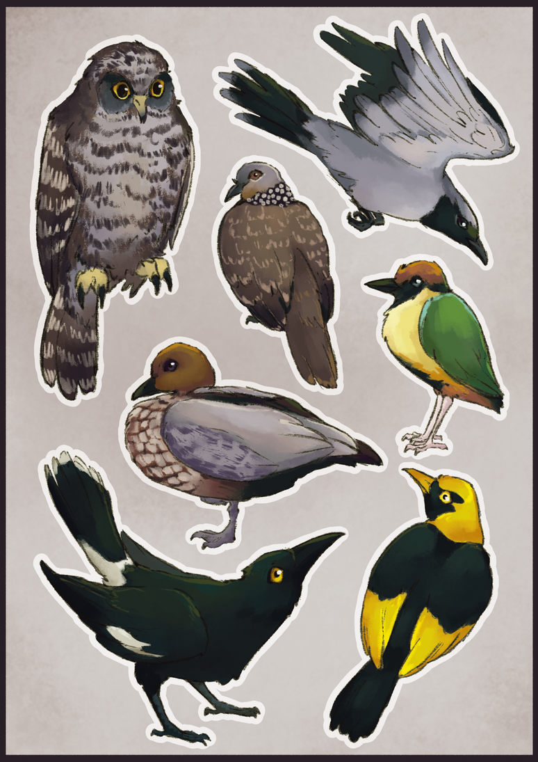 Australian Birds